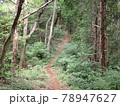 鬱蒼とした登山道 78947627