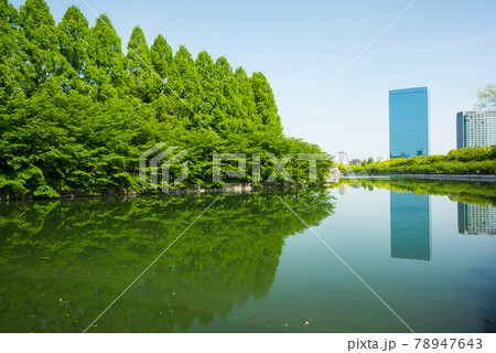 大阪城公園の新緑 大阪城公園の新緑 78947643