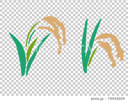 稲のシンプルなイラスト 2種類のイラスト素材 7409