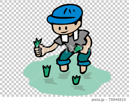 Illustration of a man planting rice - Stock Illustration [78948810] - PIXTA