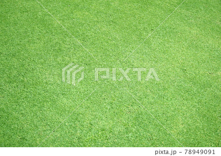 Green grass background green lawn pattern textured background. 78949091