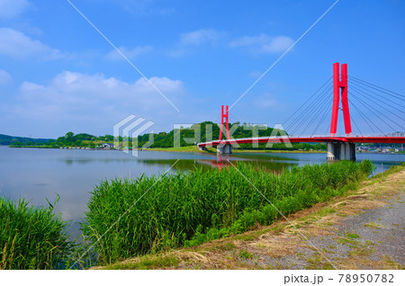 アイリスブリッジ　北潟湖畔公園　あわら市 78950782