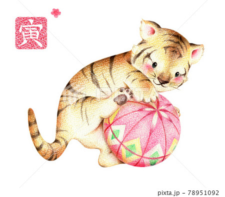 Children S Tiger Playing With Pink Temari Stock Illustration