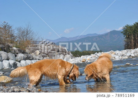 初夏の駒ヶ根 78951169