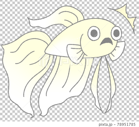 びっくりするベタ（白色） 78951785