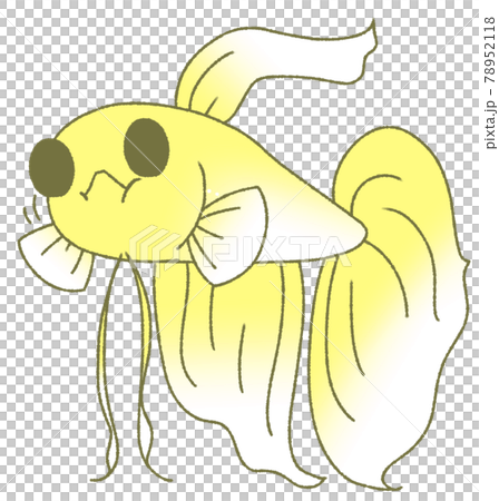 Solid to eat food (yellow) Solid to eat food (yellow) 78952118