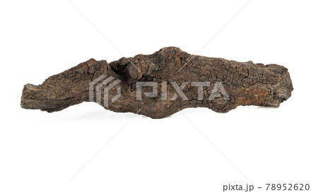 dry branches of tree isolated on white background dry branches of tree isolated on white background 78952620