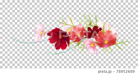 コスモスのブーケ　水彩イラスト 78952689