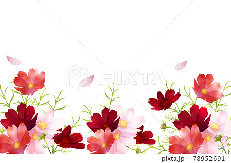 水彩の秋桜のフレーム 78952691