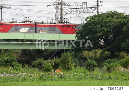 埼玉県の鉄橋を走行するEH500型電気機関車 78952874