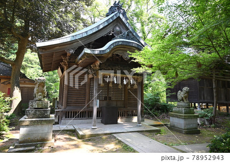 三國神社 拝殿 坂井市 三國神社 拝殿 坂井市 78952943