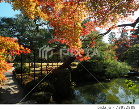 京都城南宮の秋 78952989