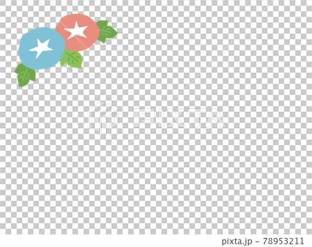 かわいい夏の朝顔のフレーム 手書きイラストのイラスト素材