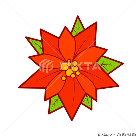 Christmas cartoons clip art . Poinsettia clipart vector illustration Christmas cartoons clip art . Poinsettia clipart vector illustration 78954388