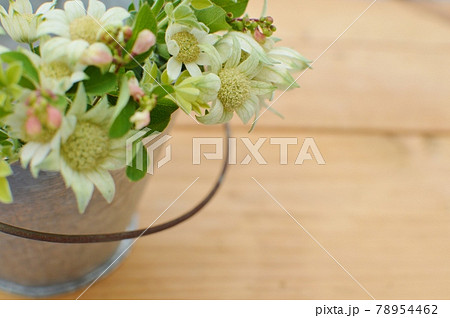 フランネルフラワーとシンフォリカルポスのアレンジメント 78954462