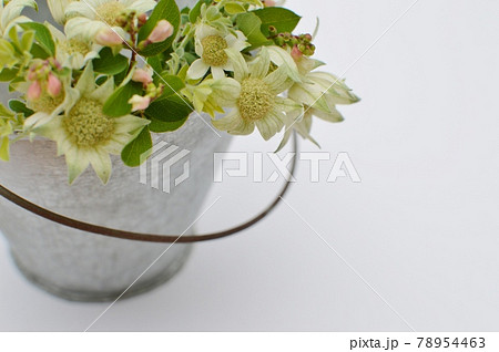 フランネルフラワーとシンフォリカルポスのアレンジメント 78954463