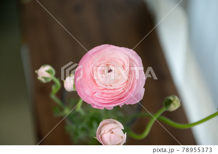 花 背景 花束 78955373