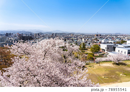 鳥取県鳥取市 春の鳥取城の二の丸からの城下の眺め 鳥取県鳥取市 春の鳥取城の二の丸からの城下の眺め 78955541