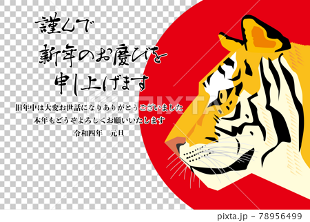 虎の横顔 寅年の年賀状イラストのイラスト素材