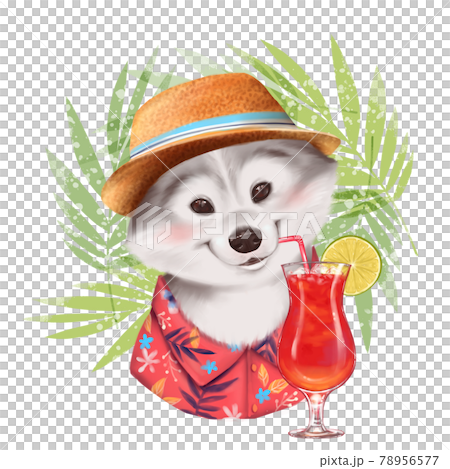 Beautiful illustration of cute summer dog with cocktail Beautiful illustration of cute summer dog with cocktail 78956577