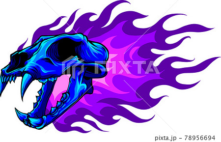 Vector illustration of blue tiger skull with flames Vector illustration of blue tiger skull with flames 78956694
