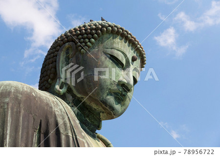 The Great Buddha of Kotoku-in temple in Kamakura, Japan 78956722