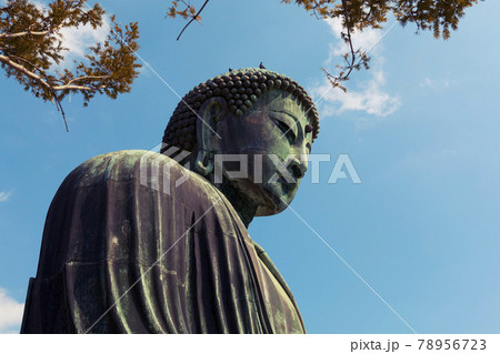 The Great Buddha of Kotoku-in temple in Kamakura, Japan 78956723