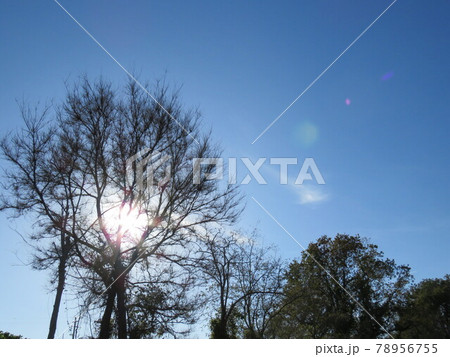 Natural landscape 78956755