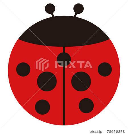 てんとうむしのイラスト 78956878