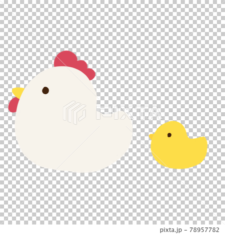 雞和小雞的父母和孩子 雞和小雞的父母和孩子 78957782