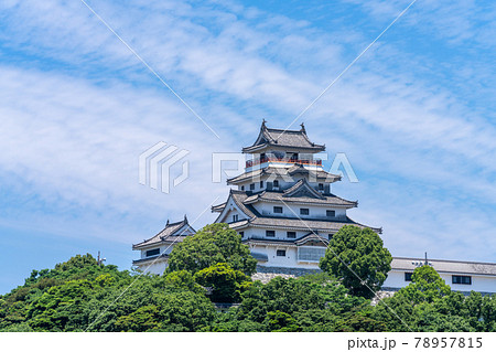 初夏の唐津城　佐賀県唐津市 78957815