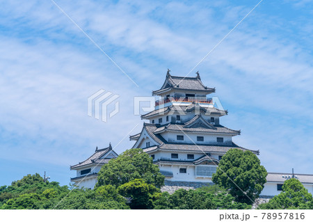 初夏の唐津城 佐賀県唐津市 初夏の唐津城 佐賀県唐津市 78957816