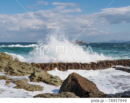 イルカショーが楽しい！ 城崎マリンワールド 78957949