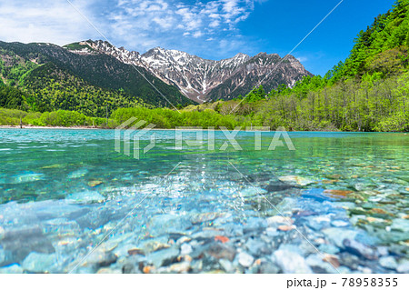 《長野県》新緑の上高地・大正池 78958355