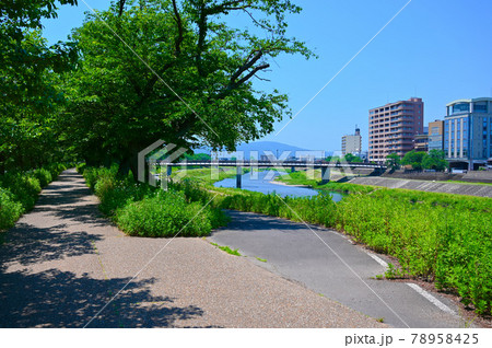 足羽川　桜橋　福井市 78958425