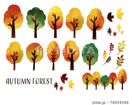 가을 나무의 수채화 벡터 일러스트 소재 / 단풍 / 녹색 - 스톡일러스트 [78958566] - Pixta