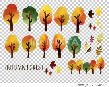 Autumn tree watercolor vector illustration material / autumn leaves / green 78958566