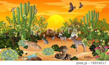 Desert forest landscape at sunset time scene with wild animals 78959017