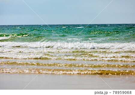 海 海 78959068