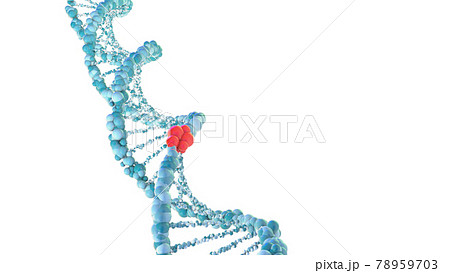 Chromosome . 3D render Chromosome . 3D render 78959703