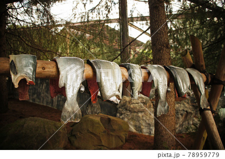 エサ用に干された魚 78959779