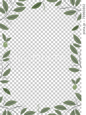 橄欖色框架 78960802