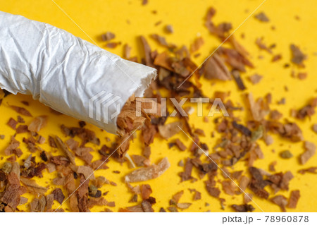 A crumpled cigarette with a row of scattered tobacco on a yellow background. Close up. A crumpled cigarette with a row of scattered tobacco on a yellow background. Close up. 78960878