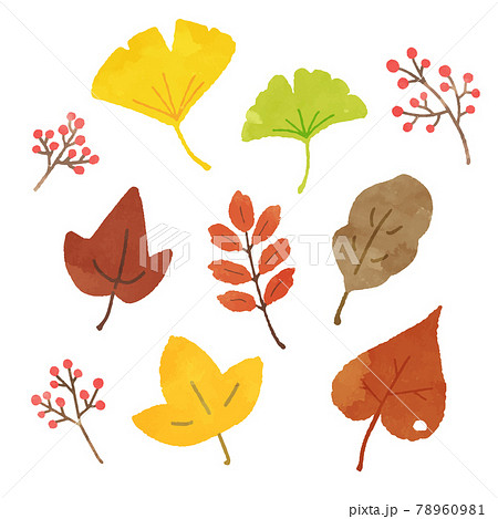 秋の葉の水彩イラストのイラスト素材