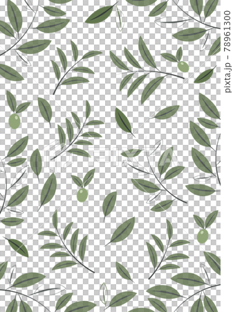 橄欖色壁紙背景背景素材 78961300