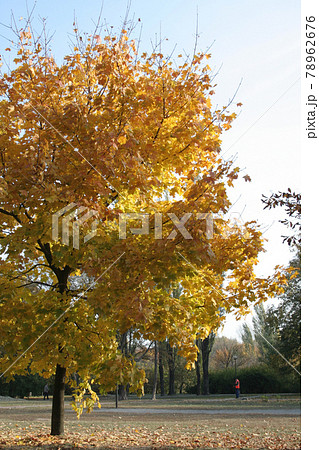 Still life photography 78962676