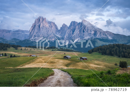 Italian Dolomiti Alps. Seiser Alm or Alpe di Siusi location, Bolzano province, South Tyrol, Italy, Europe Italian Dolomiti Alps. Seiser Alm or Alpe di Siusi location, Bolzano province, South Tyrol, Italy, Europe 78962719