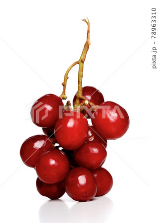 Still ife fruit and vegetable Still ife fruit and vegetable 78963310