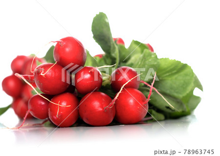 Still life photography 78963745