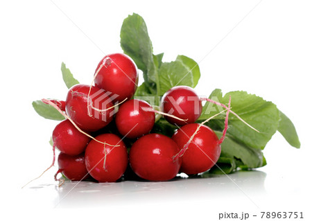 Still life photography 78963751